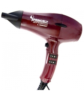 سشوار پرنسلی Princely PR242 Hair Dryer