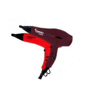 سشوار پرنسلی (پرینسلی) Princely PR241 Hair Dryer