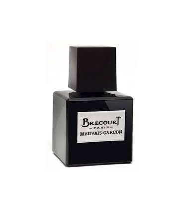 عطر مردانه برکورت مووی گارسون Brecourt Mauvais Garcon