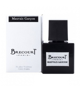 عطر مردانه برکورت مووی گارسون Brecourt Mauvais Garcon