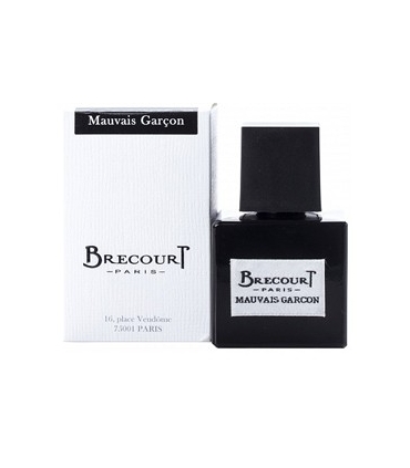 عطر مردانه برکورت مووی گارسون Brecourt Mauvais Garcon