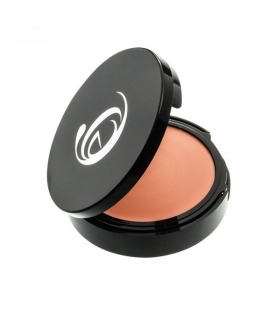 کرم پودر فشرده کاپریس سری تینت لویال مدل EM2Caprice Teint Loyal Foundation EM2