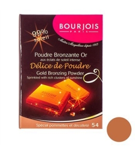 پودر برنزه بورژوآ مدل دلیس د پودر شماره 54 Bourjois Delice De Poudre Bronzing Powder 54
