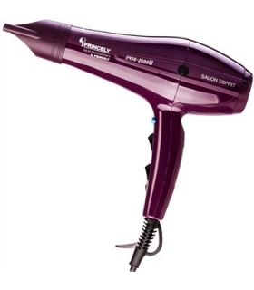 سشوار پرینسلی مدل 250 Princely PR250 Hair Dryer