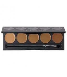 پالت رنگ سینما سکرت سری 300 Ultimate Foundation 5-in-1 PRO Palette, 300 SeriesTM