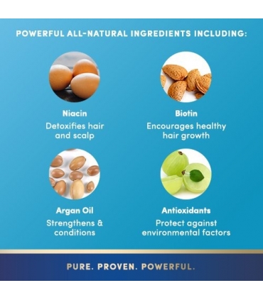 شامپو ضد ریزش مو ارگانیک  PURA D'OR Hair Loss Prevention Organic Argan Oil Shampoo