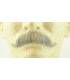 سبیل مصنوعی مدل اروپایی European Moustache no. 2012 Reusable