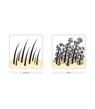 پودر پرپشت کننده مو فیبرکس Hair Building Thickening Fibers Loss Concealer
