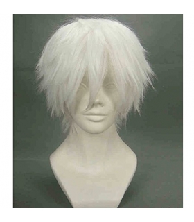 کلاه گیس (پوستیژ) مردانه و زنانه کوتاه فشن نقره ای سفید Wig Silvery White