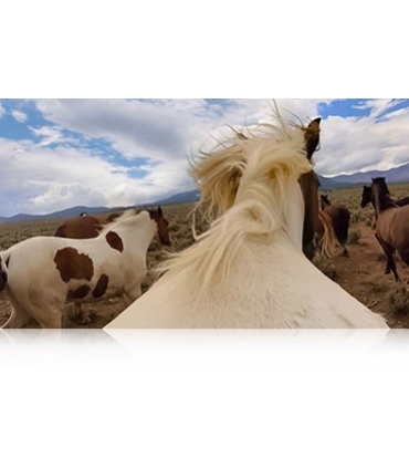 دوربین فیلمبرداری ورزشی گوپرو سیلور GoPro HERO4 Silver Action Camera