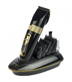 ماشین اصلاح حرفه ای پرنسلی پی آر 459 ای تی Princely PR459AT Hair Clipper