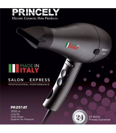 سشوار حرفه ای پرنسلی پی آر 251 Princely PR251AT Hair Dryer