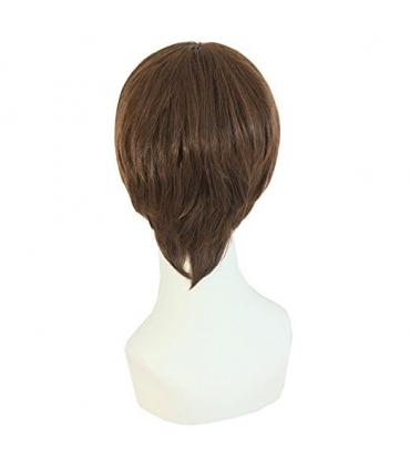 کلاه گیس مپ آف بیوتی مردانه طبیعی مدل لخت و کوتاه MapofBeauty Mens Natural Short Straight Wig