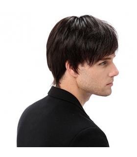 کلاه گیس اس تی فنتسی مردانه مدل کوتاه و لخت STfantasy Mens Wig Short Straight Synthetic Hair