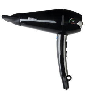 سشوار حرفه ای پرنسلی Princely PR254AT Professional Hair Dryer