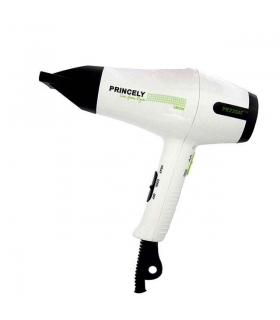سشوارحرفه ای  پرنسلی PR236AT Princely Dryer