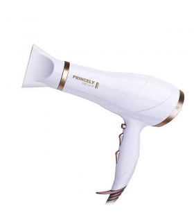 سشوارحرفه ای پرنسلی مدل پی ار239 ای تی  Princely Dreyer PR239AT