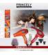 سشوار دیجیتال پرنسلی Princely Dryer PR212AT  