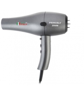 سشوار حرفه ای پرنسلی پی آر 251 Princely PR251AT Hair Dryer