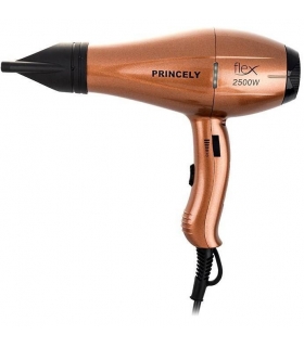 سشوار حرفه ای پرنسلی پی آر 256 Princely PR256AT Hair Dryer