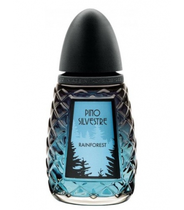 عطر و ادکلن مردانه پینو سیلوستره راینفورست ادو تویلت pino silvestre Rainforest EDT for man