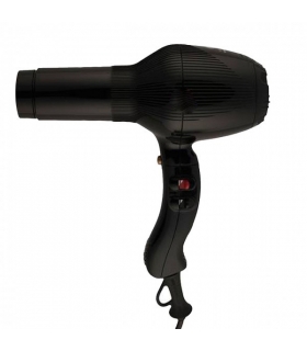 سشوار حرفه ای پرومکس Promax Professional Hair Dryer 7878K
