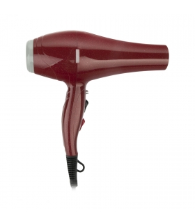 سشوار حرفه ای جمی Gemei Hair Dryer GM-1753
