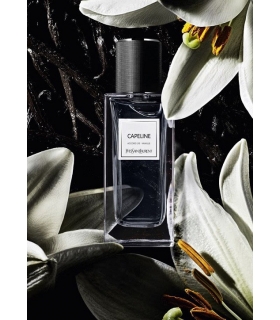 عطر و ادکلن زنانه و مردانه ایو سن لورن کیپ لاین ادوپرفیوم Yves Saint Laurent Capeline EDP for women and men
