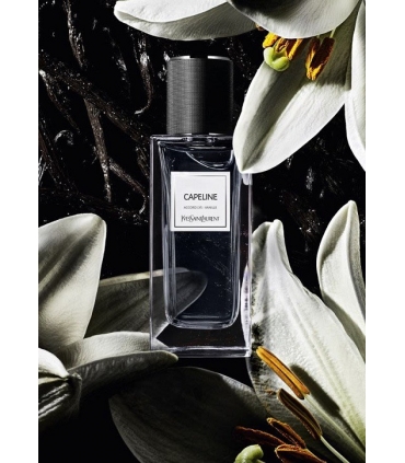 عطر و ادکلن زنانه و مردانه ایو سن لورن کیپ لاین ادوپرفیوم Yves Saint Laurent Capeline EDP for women and men