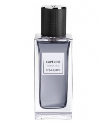 عطر و ادکلن زنانه و مردانه ایو سن لورن کیپ لاین ادوپرفیوم Yves Saint Laurent Capeline EDP for women and men