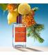 عطر و ادکلن زنانه و مردانه آتلیه کالن لاو اوسمانتوس ادو کلون Atelier Cologne Love Osmanthus EDC for men and women