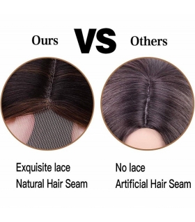 کلاه گیس زنانه بلند لخت هایلایت دار AISI HAIR Brown Mixed Blonde Long Straight Natural Wig