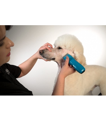 ماشین اصلاح حیوانات اندیس پالس لی 5 شارژی Andis Pulse Li 5 Cord/Cordless Animal Clipper 73515