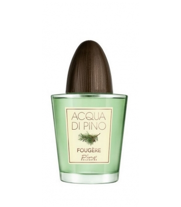 عطر و ادکلن مردانه پینو سیلوستره آکو دی پینو فاگر(فوگر) ادوتویلت Pino Silvestre Acqua di Pino Fougere edt for men