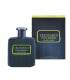 عطر و ادکلن مردانه تروساردی رایفلسو (ریفلسو) بلو وایب ادوتویلت Trussardi Riflesso Blue Vibe EDT for men