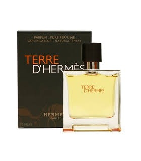 ادکلن مردانه هرمس تره دی هرمس  Hermes Terre DHermes Eau De Toilette For Men 