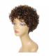 کلاه گیس زنانه  اچ یو ای موی طبیعی کوتاه فرفری شکلاتی HUA Chocolate Brown Mix Medium Auburn Short Curly Wigs