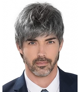 کلاه گیس مردانه ووئر لیر خاکستری کوتاه Wooer Mens Wig Male Short Layered Costume Party Handsome Fluffy