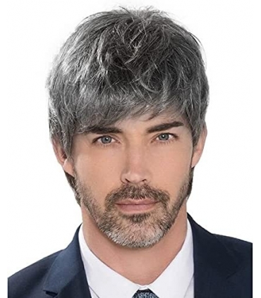 کلاه گیس مردانه ووئر لیر خاکستری کوتاه Wooer Mens Wig Male Short Layered Costume Party Handsome Fluffy
