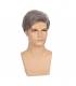 کلاه گیس (پوستیژ) مردانه کوتاه جوگندمی Grey Short Wig