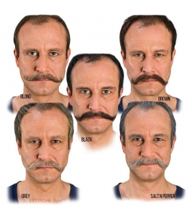 سبیل مصنوعی یونا با تارهای موی طبیعی در رنگ های مختلف قابل کوتاه کردن Uona Natural Mustache