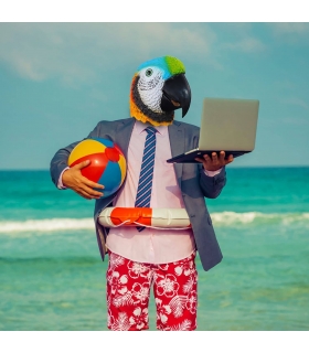 ماسک و صورتک طوطی لاتکس ایفکو ifkoo Parrot Mask