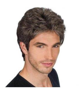 کلاه گیس (پوستیژ) مردانه کوتاه مشکی و جو گندمی Men Short Black & Gray Wig