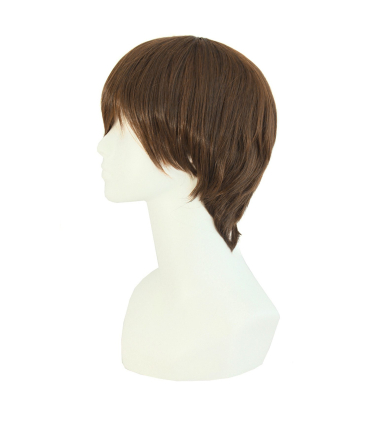 کلاه گیس (پوستیژ) مردانه طبیعی مدل لخت و کوتاه Short Straight Wig