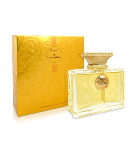 عطر مردانه اسپریت د ورسیلزگلد Esprit De Versailles Gold Eau de Parfum For Men 