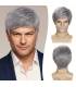 کلاه گیس و پوستیژ مردانه کوتاه خاکستری فرق کج Silvery Gray Straight