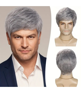 کلاه گیس و پوستیژ مردانه کوتاه خاکستری فرق کج Silvery Gray Straight