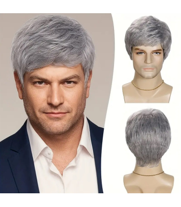 کلاه گیس و پوستیژ مردانه کوتاه خاکستری فرق کج Silvery Gray Straight