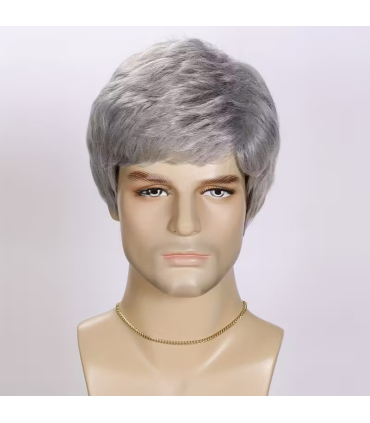 کلاه گیس و پوستیژ مردانه کوتاه خاکستری فرق کج Silvery Gray Straight