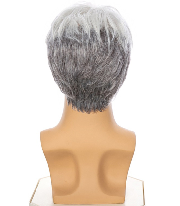 کلاه گیس و پوستیژ مردانه کوتاه سفید و خاکستری Blond Wholesale